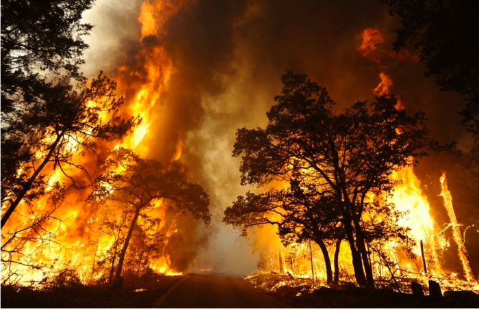 Bushfires In Australia