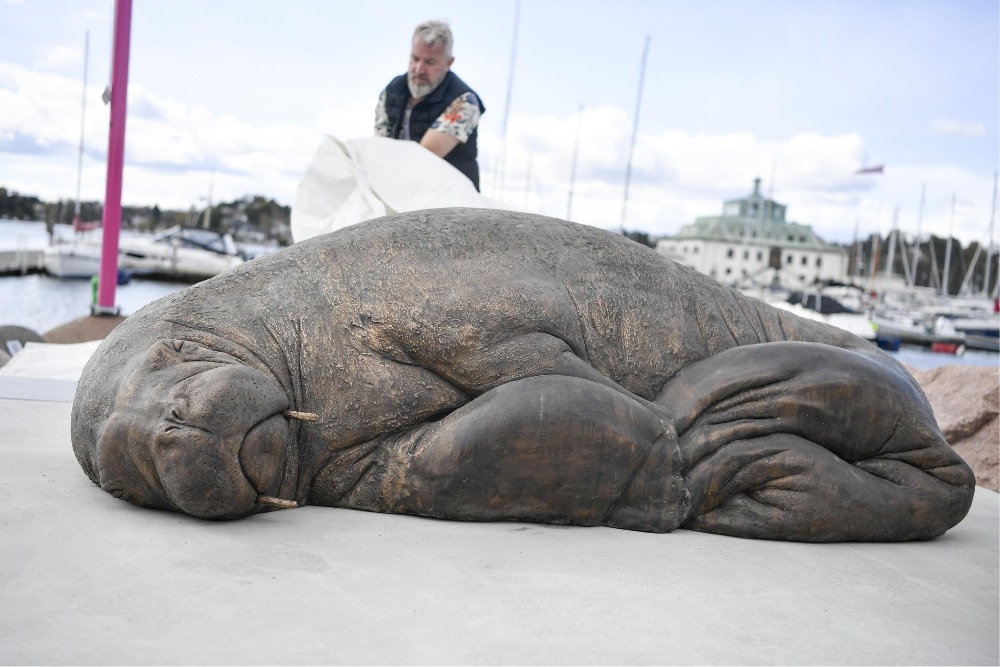 Norwegian Artist Unveils Bronze Sculpture Honoring Famous Walrus