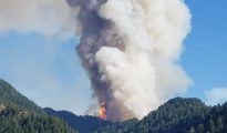 12-Year-Old Confesses to Triggering Massive Nordkette Forest Fire