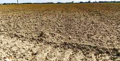 Extreme precipitation deficits and record temperatures have left farmland parched across Austria