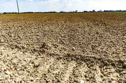 Extreme precipitation deficits and record temperatures have left farmland parched across Austria