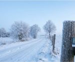 Austria Waldviertel Hits -13°C as Severe Winter Weather