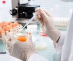 Stamped table eggs in a carton subject to international Salmonella recall warnings.