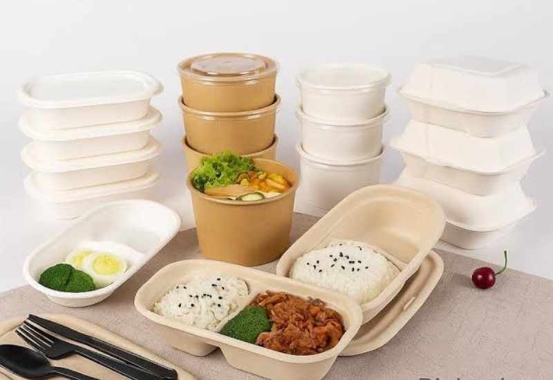 Eco-friendly compostable paper takeaway food containers meeting EU PPWR packaging standards.