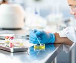 Medical laboratory technician preparing fluid culture samples for bacterial analysis in a laboratory.