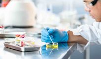 Medical laboratory technician preparing fluid culture samples for bacterial analysis in a laboratory.