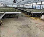 Shattered glass covering plant beds inside a damaged greenhouse in Stainz, Styria.