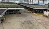 Shattered glass covering plant beds inside a damaged greenhouse in Stainz, Styria.